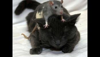 Quelques belles images